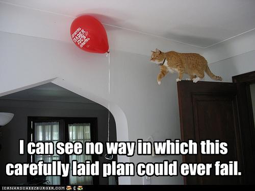 funny-pictures-cat-does-not-think-plan-will-fail.jpg