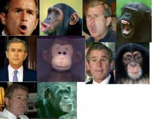 george w bush monkey face. Michelle Obama Monkey Face