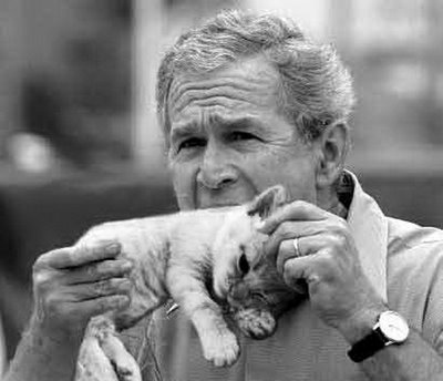 george w bush monkey. obama Bush routinely was